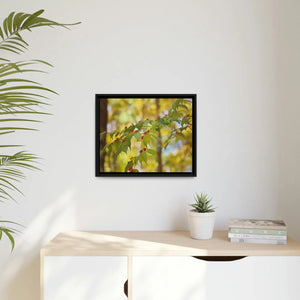 Bold Honeysuckle Berries Matte Canvas - Black Frame - Dipaliz - Posters Prints & Visual Artwork