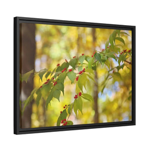 Bold Honeysuckle Berries Matte Canvas - Black Frame - Dipaliz - Posters Prints & Visual Artwork