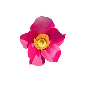Vibrant Large Pink Flower Kiss Cut Vinyl Decal - Dipaliz - Decorative Stickers
