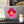 Vibrant Large Pink Flower Kiss Cut Vinyl Decal - Dipaliz - Decorative Stickers