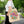 Vibrant Floral Print Tote Bag - Large Polyester - Dipaliz - Bags