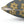 Modern Leaf Pattern Grey Throw Pillow Polyester - Dipaliz - Pillows