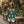 DipaliZ Women’s Long Sleeves Tee Light Green Pattern