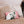 DipaliZ magnolia bloom cushion available in 18x18, 20x12 and 22x22 inch sizes