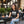DipaliZ Women's Favorite Tee Airlume Combed and ringspun Cotton