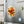 Floral Orange and Red Flowers Vinyl Decals - Dipaliz - Decorative Stickers
