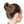 Paisley Brown and Blue Stylish Hair Accessories Scrunchie