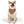 Chic Pet Bandana Collar - Durable Polyester Duck Fabric - Dipaliz - Collars & Harnesses