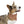 Chic Pet Bandana Collar - Durable Polyester Duck Fabric - Dipaliz - Collars & Harnesses