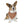 Chic Pet Bandana Collar - Durable Polyester Duck Fabric - Dipaliz - Collars & Harnesses