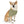 Trendy Pet Bandana Collar - Designer Print Polyester - Dipaliz - Collars & Harnesses