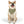 Trendy Pet Bandana Collar - Designer Print Polyester - Dipaliz - Collars & Harnesses