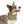 Trendy Pet Bandana Collar - Designer Print Polyester - Dipaliz - Collars & Harnesses