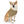 Trendy Pet Bandana Collar - Designer Print - Dipaliz - Collars & Harnesses