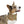 Trendy Pet Bandana Collar - Designer Print - Dipaliz - Collars & Harnesses