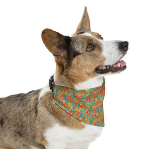 Trendy Pet Bandana Collar - Designer Print - Dipaliz - Collars & Harnesses