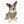 Trendy Pet Bandana Collar - Designer Print - Dipaliz - Collars & Harnesses