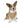 Trendy Pet Bandana Collar - Custom Polyester - Dipaliz - Collars & Harnesses