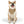 Trendy Pet Bandana Collar - Custom Polyester - Dipaliz - Collars & Harnesses