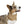 Trendy Pet Bandana Collar - Custom Polyester - Dipaliz - Collars & Harnesses