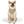 Furry Pet Bandana Collar - Durable Polyester Style - Dipaliz - Collars & Harnesses