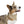 Furry Pet Bandana Collar - Durable Polyester Style - Dipaliz - Collars & Harnesses
