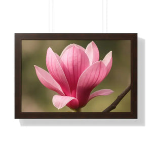 Pink Magnolia Wall Art Framed Poster Decor - Dipaliz - 24″ x 16″ / Walnut - Posters Prints & Visual Artwork