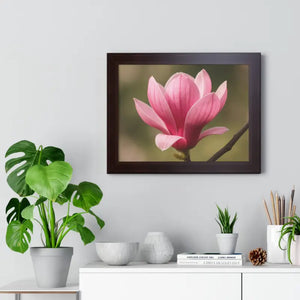 Pink Magnolia Wall Art Framed Poster Decor - Dipaliz - Posters Prints & Visual Artwork