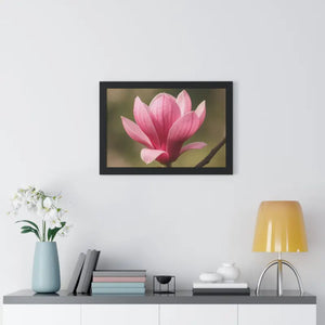 Pink Magnolia Wall Art Framed Poster Decor - Dipaliz - Posters Prints & Visual Artwork