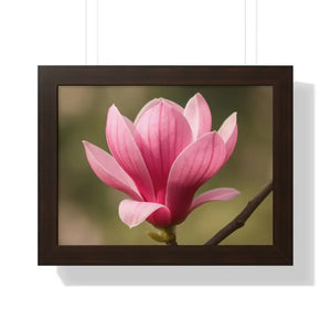 Pink Magnolia Wall Art Framed Poster Decor - Dipaliz - 16″ x 12″ / Walnut - Posters Prints & Visual Artwork