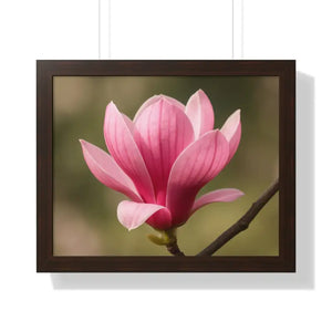Pink Magnolia Wall Art Framed Poster Decor - Dipaliz - 20’’ x 16’’ / Walnut - Posters Prints & Visual Artwork