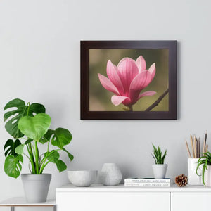 Pink Magnolia Wall Art Framed Poster Decor - Dipaliz - Posters Prints & Visual Artwork