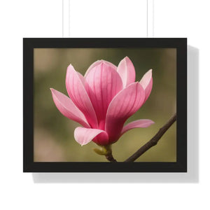 Pink Magnolia Wall Art Framed Poster Decor - Dipaliz - 20’’ x 16’’ / Black - Posters Prints & Visual Artwork