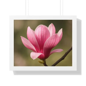 Pink Magnolia Wall Art Framed Poster Decor - Dipaliz - 20’’ x 16’’ / White - Posters Prints & Visual Artwork