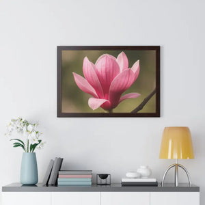 Pink Magnolia Wall Art Framed Poster Decor - Dipaliz - Posters Prints & Visual Artwork