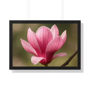 Pink Magnolia Wall Art Framed Poster Decor - Dipaliz - 30’’ x 20’’ / Black - Posters Prints & Visual Artwork