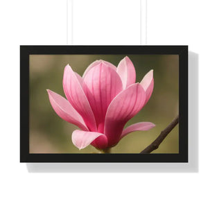 Pink Magnolia Wall Art Framed Poster Decor - Dipaliz - 24″ x 16″ / Black - Posters Prints & Visual Artwork