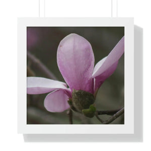 Chic Framed Horizontal Poster - Pink Magnolia Art - Dipaliz - Posters Prints & Visual Artwork