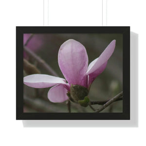 Chic Framed Horizontal Poster - Pink Magnolia Art - Dipaliz - Posters Prints & Visual Artwork