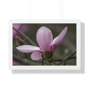Chic Framed Horizontal Poster - Pink Magnolia Art - Dipaliz - Posters Prints & Visual Artwork