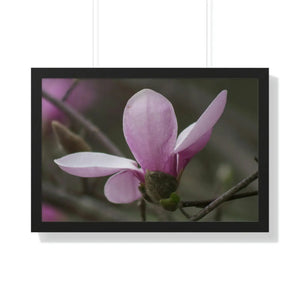 Chic Framed Horizontal Poster - Pink Magnolia Art - Dipaliz - Posters Prints & Visual Artwork