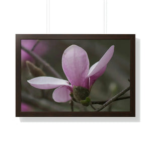 Chic Framed Horizontal Poster - Pink Magnolia Art - Dipaliz - Posters Prints & Visual Artwork