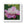 Vibrant Pink Peonies Framed Horizontal Poster - Dipaliz - Posters Prints & Visual Artwork