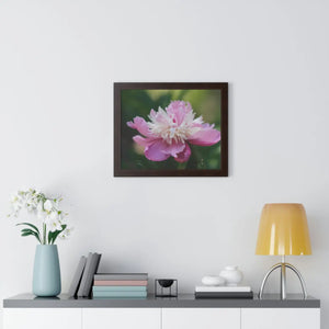 Vibrant Pink Peonies Framed Horizontal Poster - Dipaliz - Posters Prints & Visual Artwork