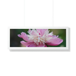Vibrant Pink Peonies Framed Horizontal Poster - Dipaliz - Posters Prints & Visual Artwork
