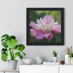Vibrant Pink Peonies Framed Horizontal Poster - Dipaliz - Posters Prints & Visual Artwork