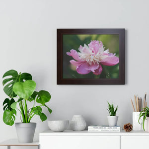 Vibrant Pink Peonies Framed Horizontal Poster - Dipaliz - Posters Prints & Visual Artwork