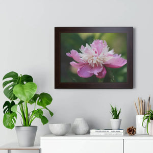 Vibrant Pink Peonies Framed Horizontal Poster - Dipaliz - Posters Prints & Visual Artwork