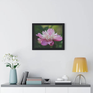 Vibrant Pink Peonies Framed Horizontal Poster - Dipaliz - Posters Prints & Visual Artwork