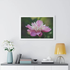 Vibrant Pink Peonies Framed Horizontal Poster - Dipaliz - Posters Prints & Visual Artwork